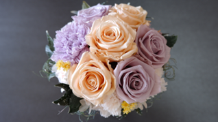 , Preserved Flowers Singapore: The Complete Guide to Floral Supplies & Gift Packaging Essentials