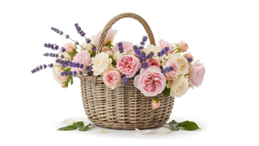 , Preserved Flowers Singapore: The Complete Guide to Floral Supplies & Gift Packaging Essentials