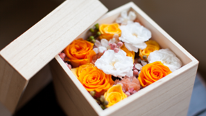 , Preserved Flowers Singapore: The Complete Guide to Floral Supplies & Gift Packaging Essentials