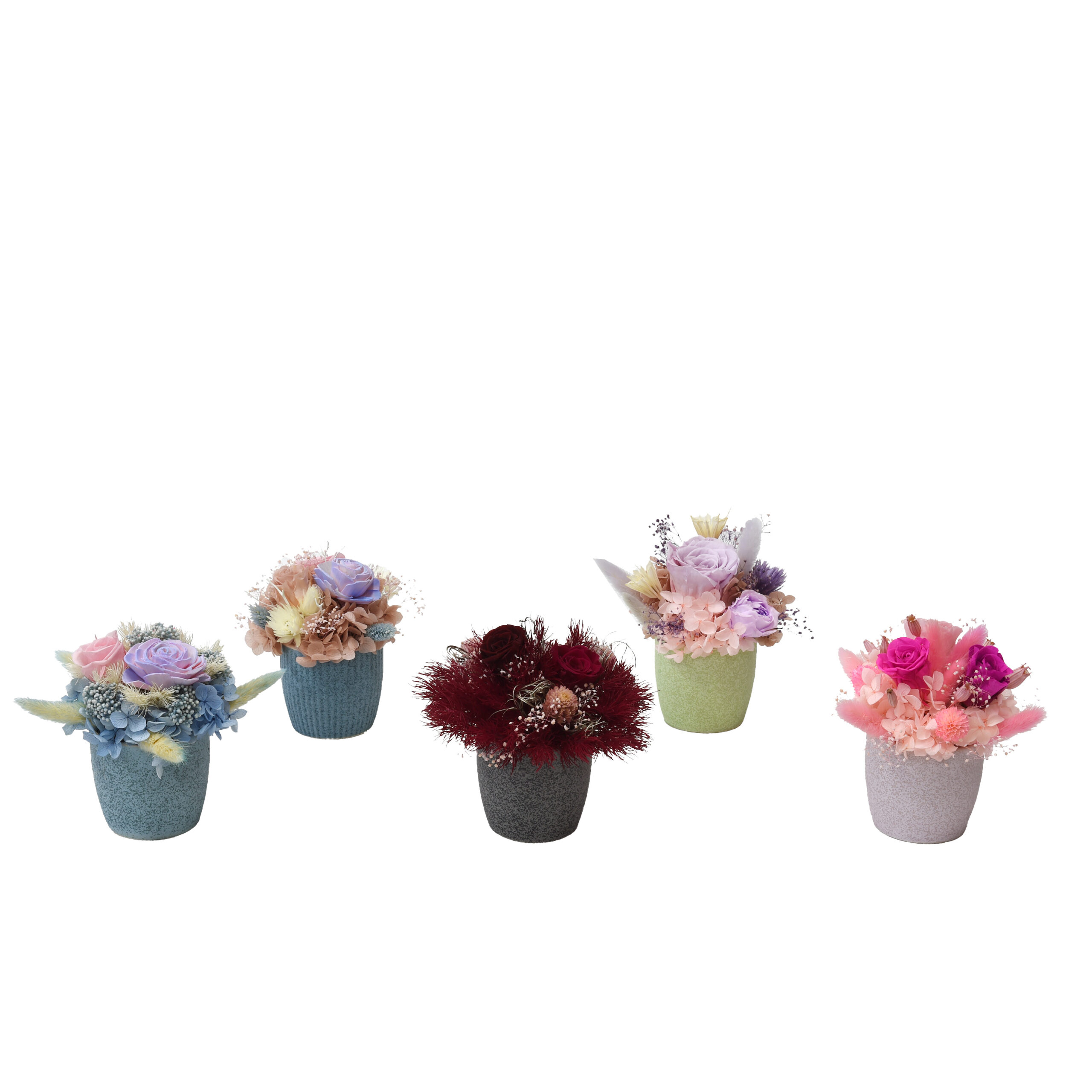 HOME DECOR (PRESERVED MOSS & FLOWERS)